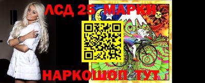 крисы Кингисепп