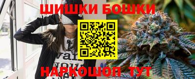 крисы Кингисепп
