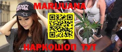 крисы Кингисепп