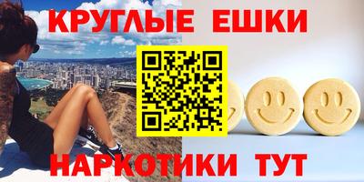 крисы Кингисепп