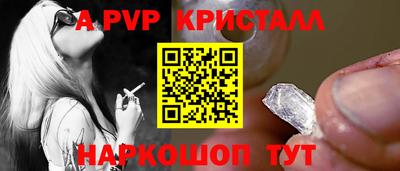крисы Кингисепп