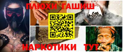 крисы Кингисепп