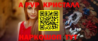 крисы Кингисепп