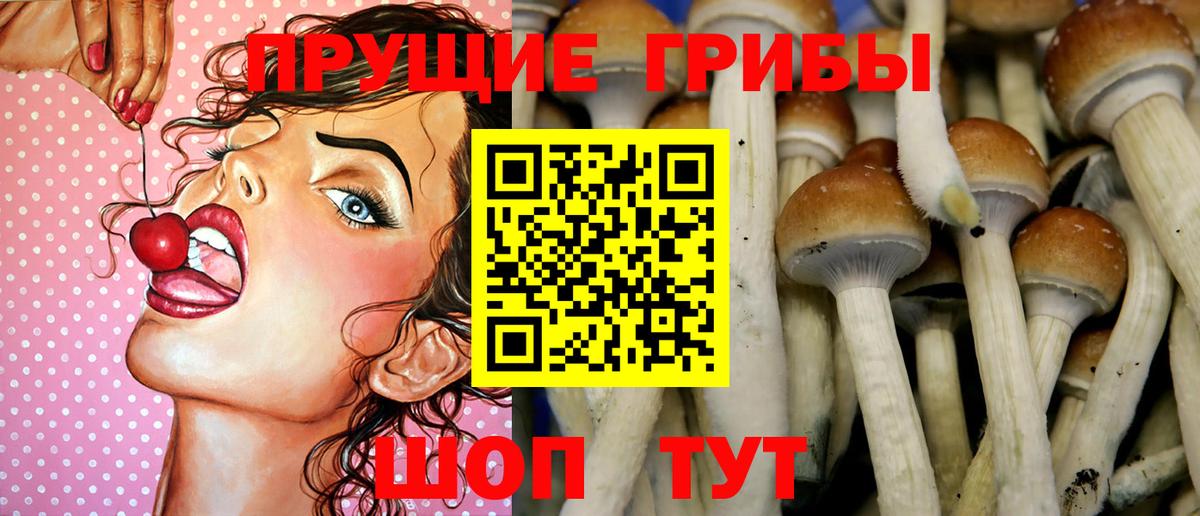 Псилоцибиновые грибы ЛСД  купить  цена  Кыштым  Вход с VPN 