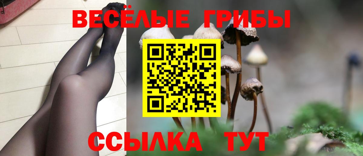 Псилоцибиновые грибы GOLDEN TEACHER Кыштым